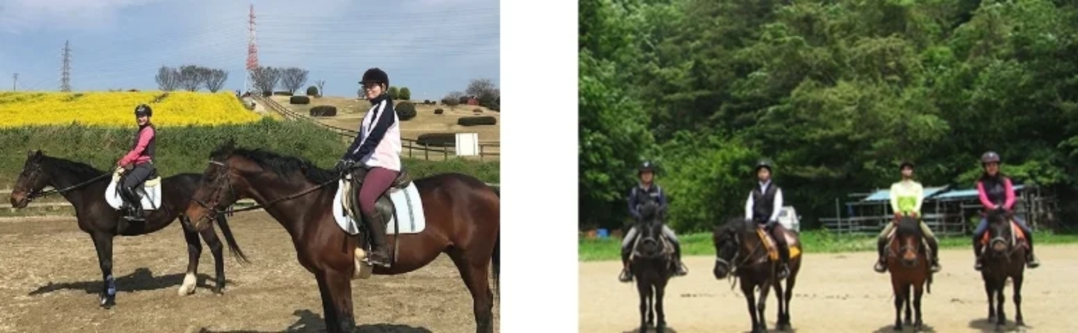 乗馬レッスン