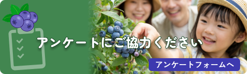 アンケートにご協力ください アンケートフォームへ