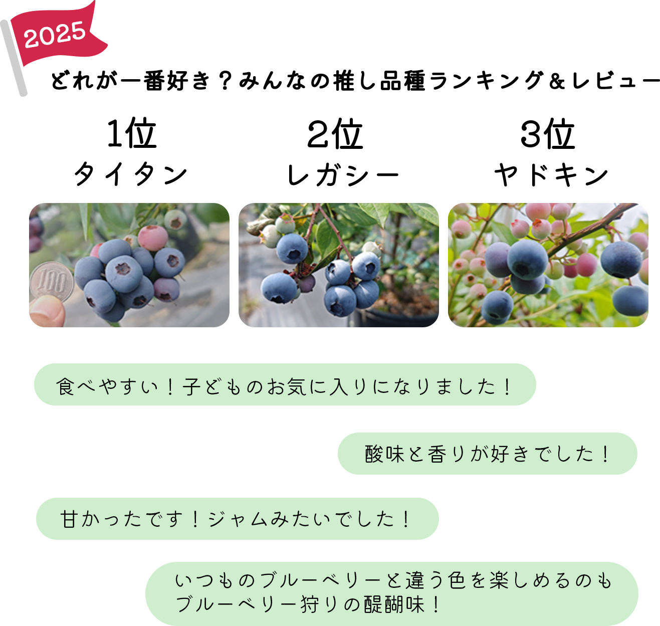 お客様からいただいた評価