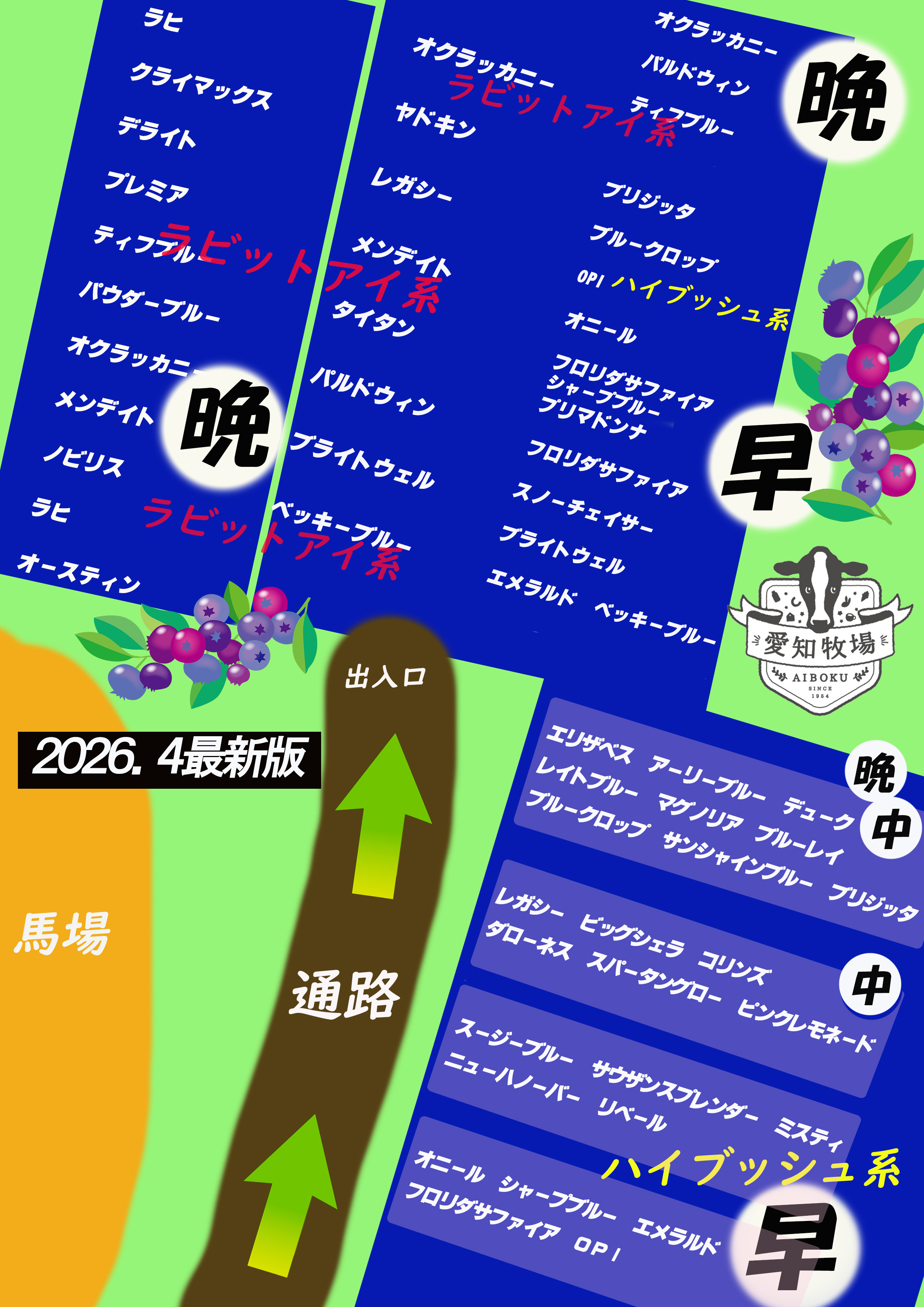 ブルーベリー品種配置マップ 2026