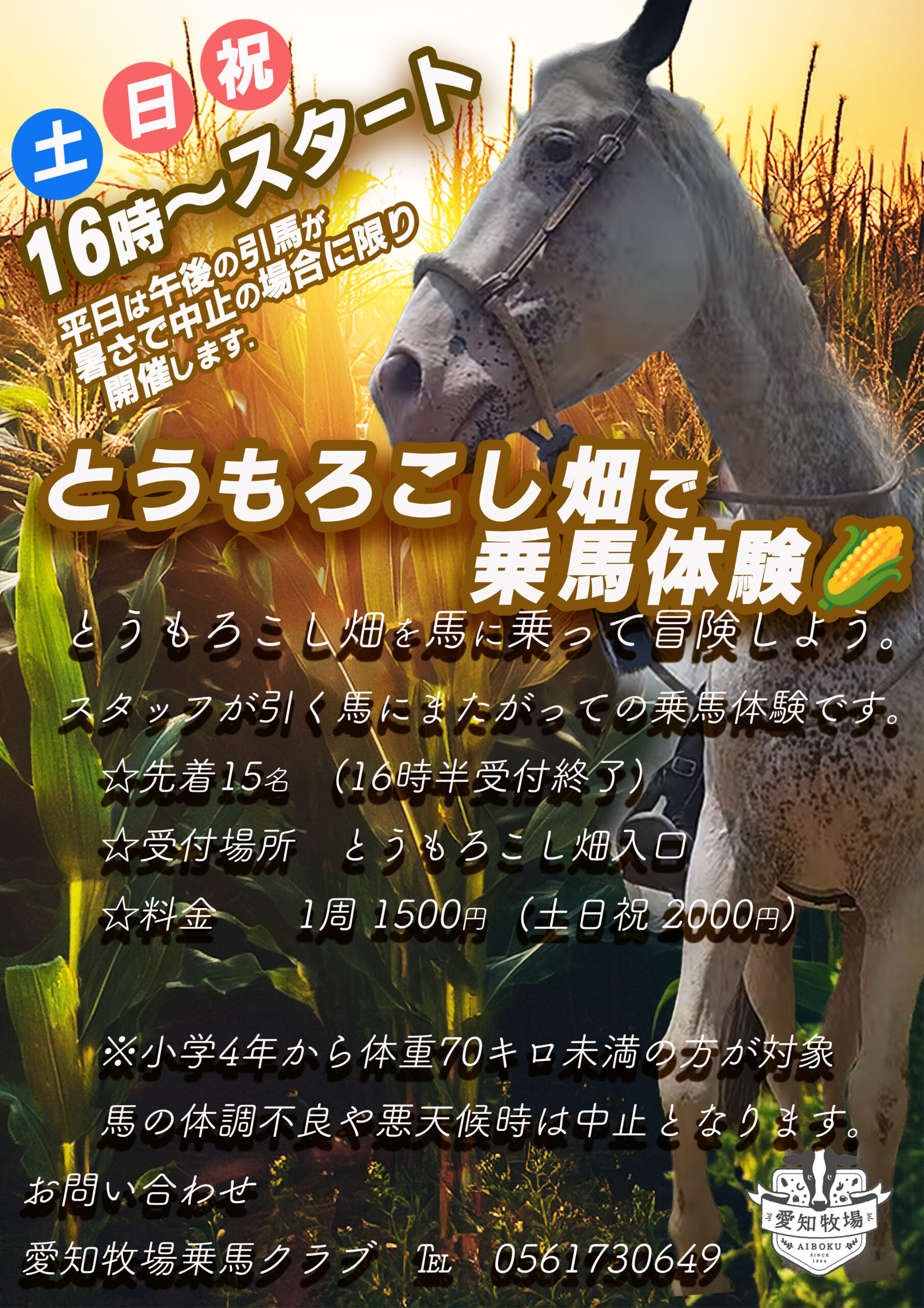 8/9スタート とうもろこし畑で乗馬体験
