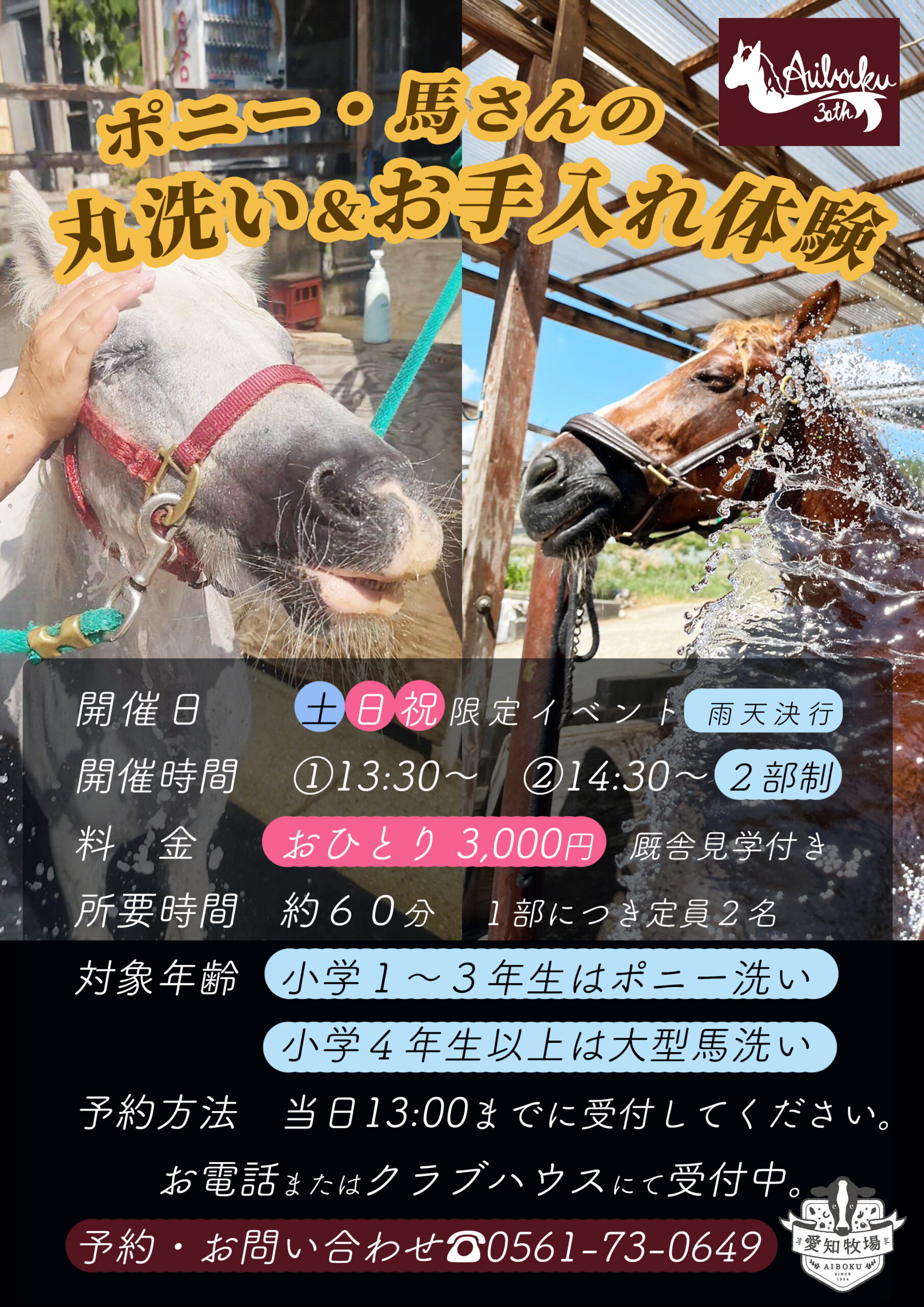馬の丸洗いお手入れ体験9/28終了🏇