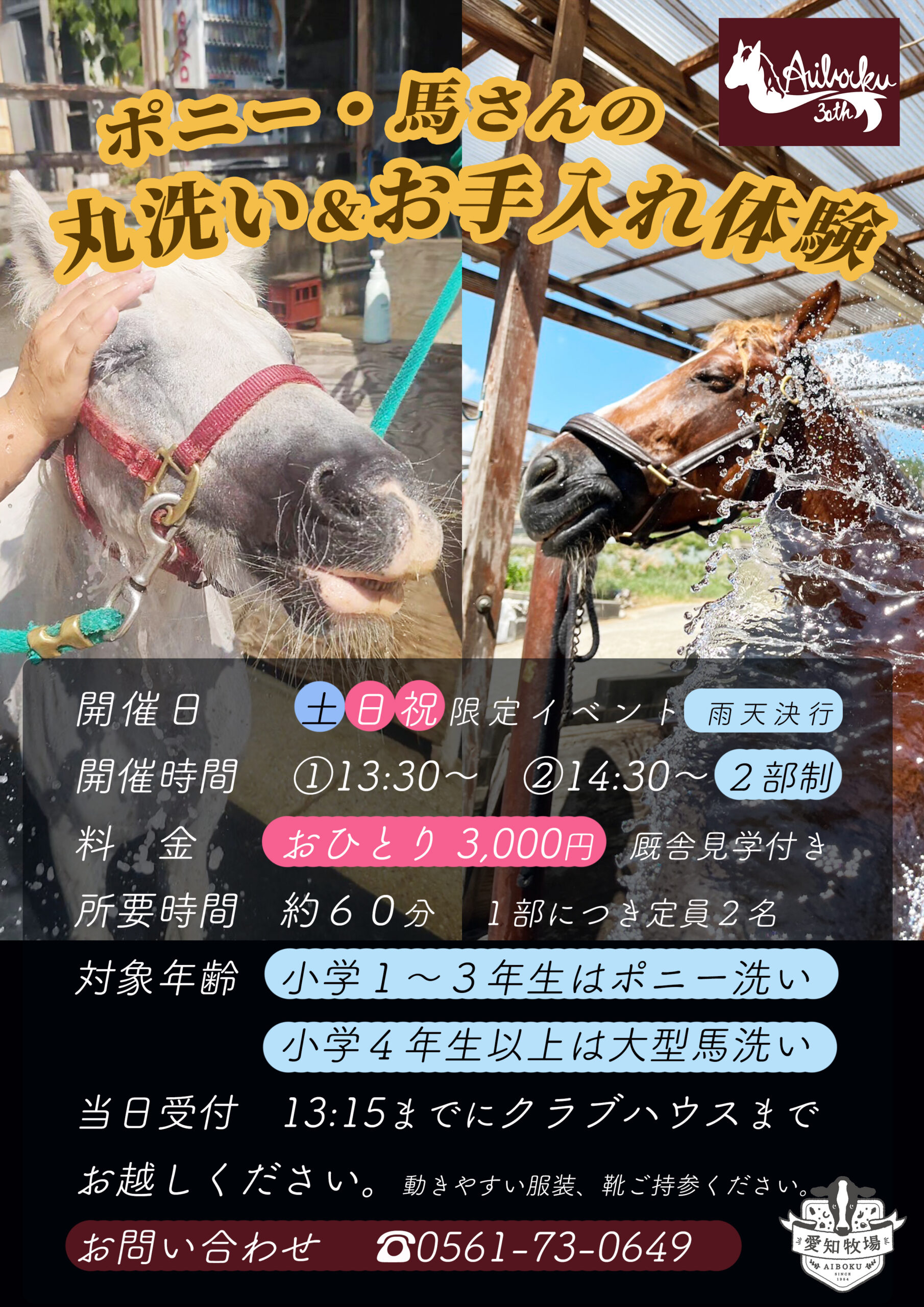 馬の丸洗いお手入れ体験開催9/6スタート🏇