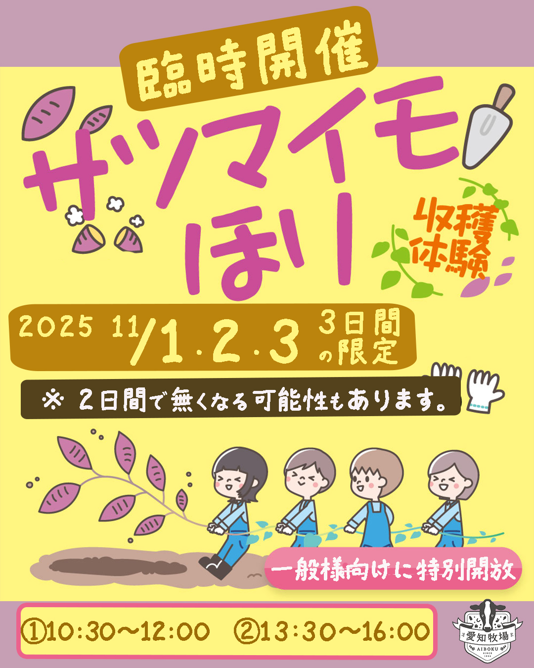 さつまいも掘り体験🍠臨時開催決定‼