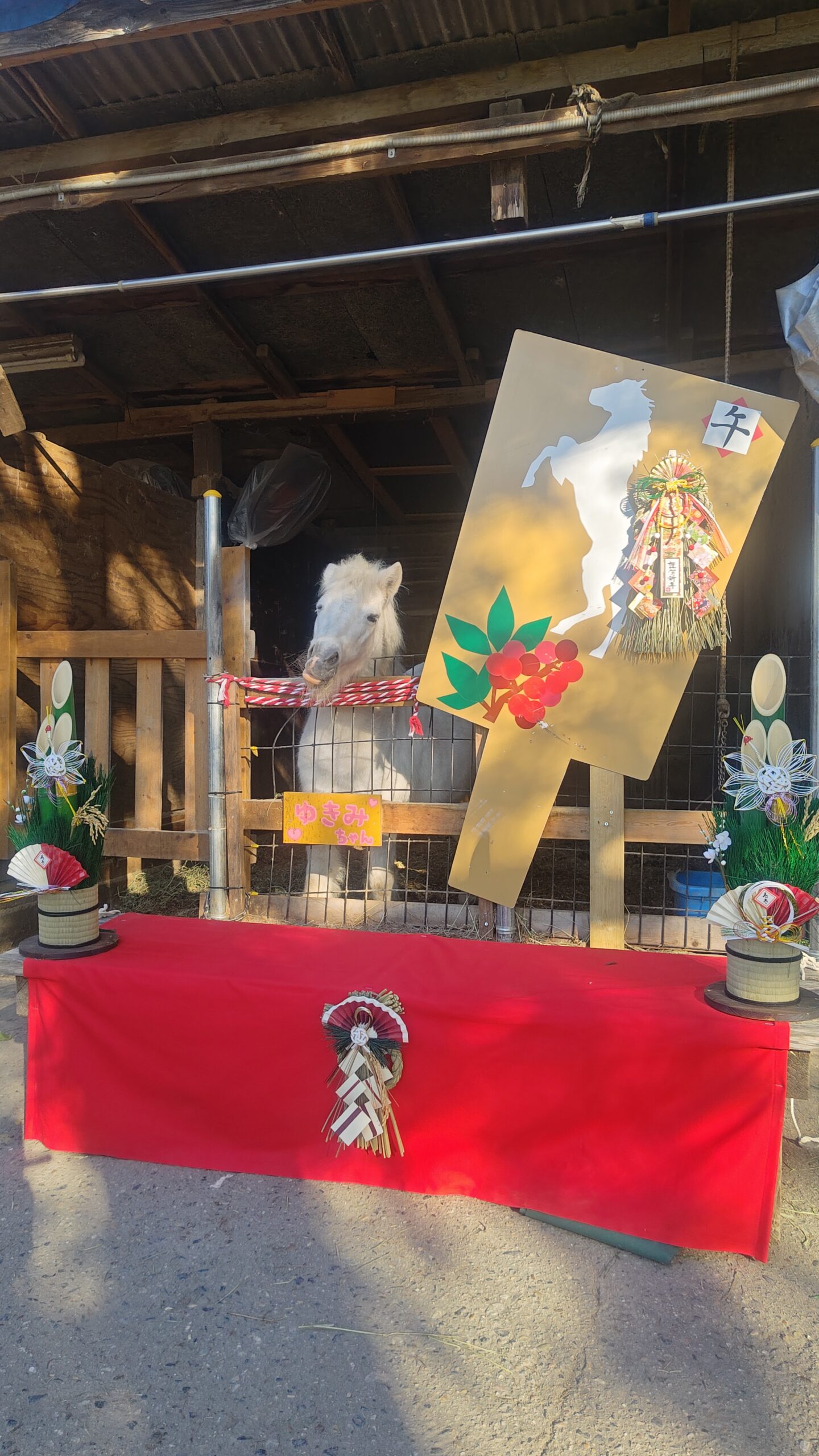 午年【うまどし】フォトスポット完成