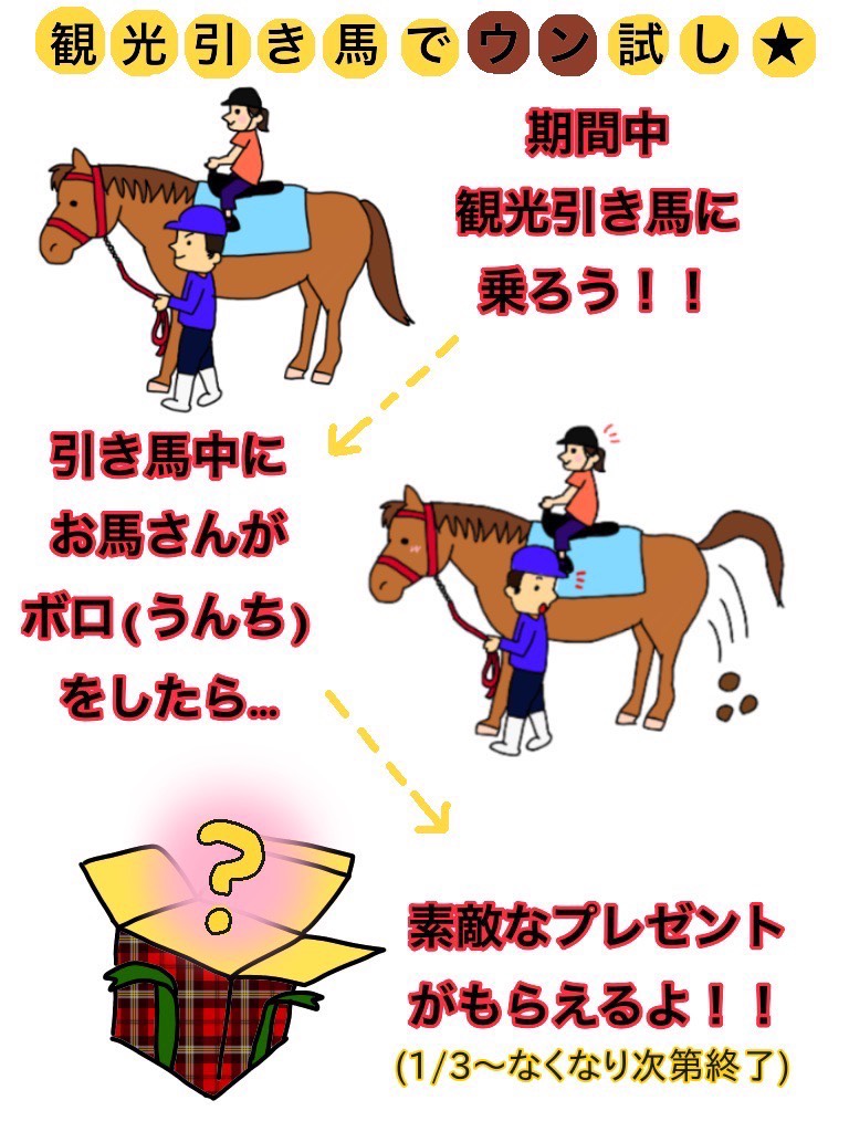 午年イベント　観光引馬でウン試し