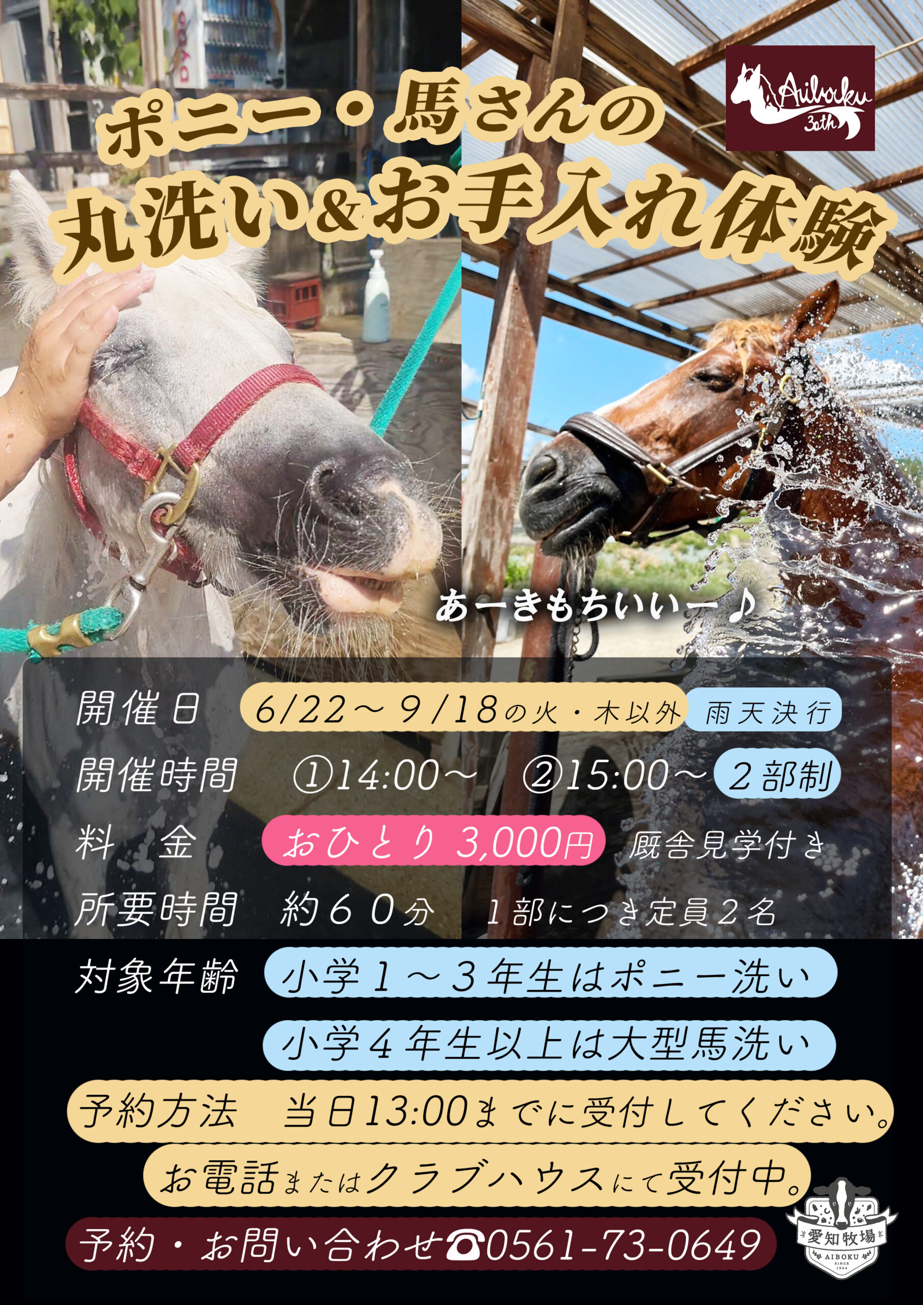 ポニー・馬さんの丸洗い＆お手入れ体験6/22～開始🐎